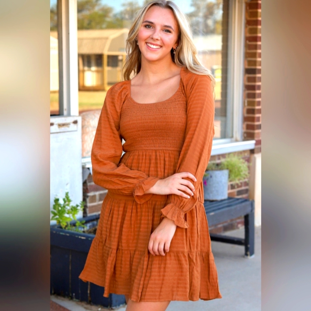Brown Bishop Sleeve Smocked Teired Mini Dress